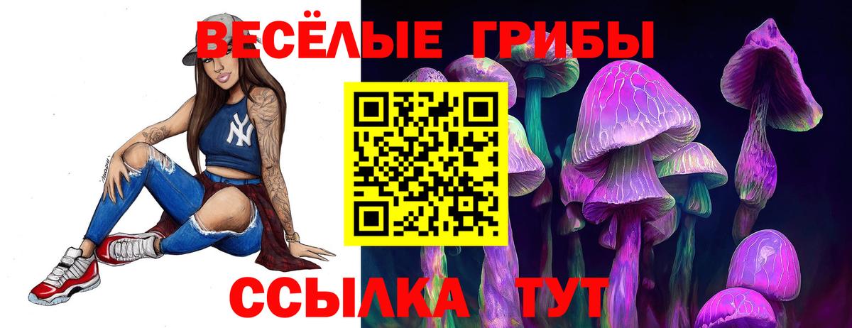 Спасск-Дальний  Псилоцибиновые грибы Psilocybe  Псилоцибиновые грибы Psilocybe  Вход с VPN 